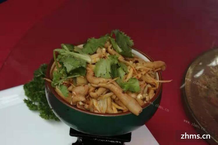 能不能说一些素食连锁？比较好就是能够在广州经营的