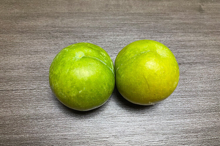 李子需要给他套袋，李子如何套袋？