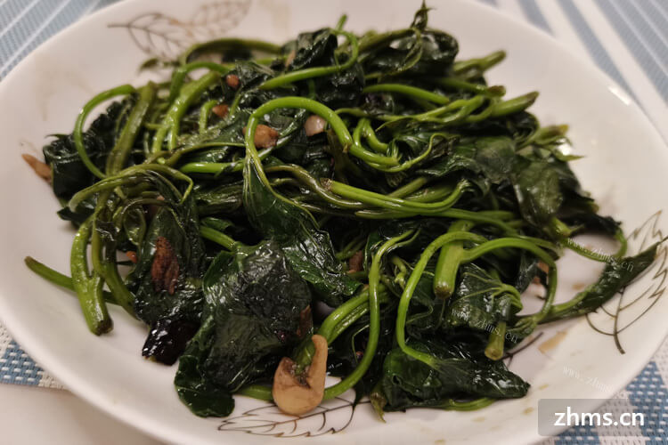 湖南中餐技术加盟项目当中哪家的餐点质量比较不错呢