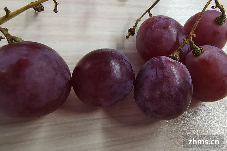什么品种的葡萄最好吃