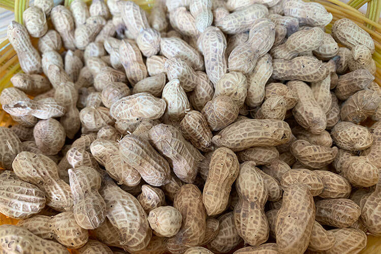 西瓜酱放熟花生米吗，还是放生花生米