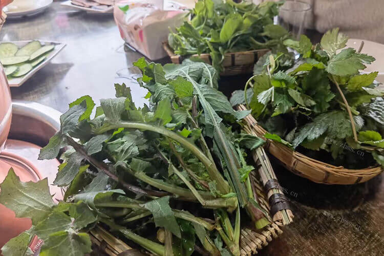 准备把青菜保存起来，青菜泡水里可以保鲜么？