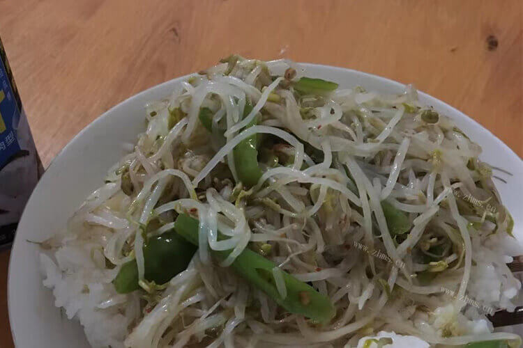 豆芽是非常好吃的一种菜，绿色的豆芽叫什么菜