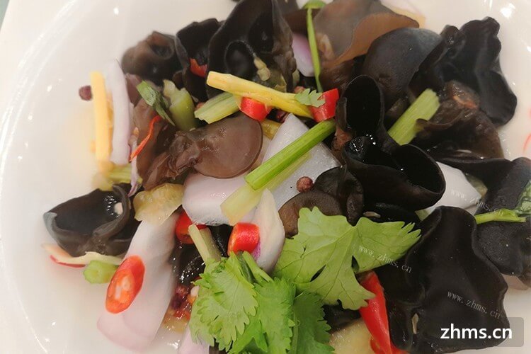 怎么样来武汉开一个快餐店？湖北武汉十大中餐加盟费用贵不贵？