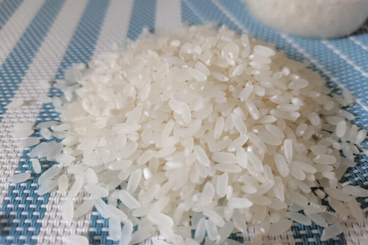 在学校食堂吃到的大米煮的米饭，学校食堂一般用什么大米？