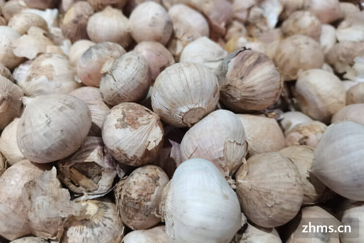 不用面粉可以做什么样的美食 不用面粉可以做什么样的美食