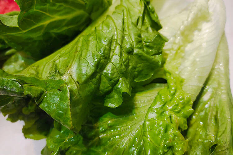 圆生菜罗马生菜有什么区别吗，哪个更好吃呢？