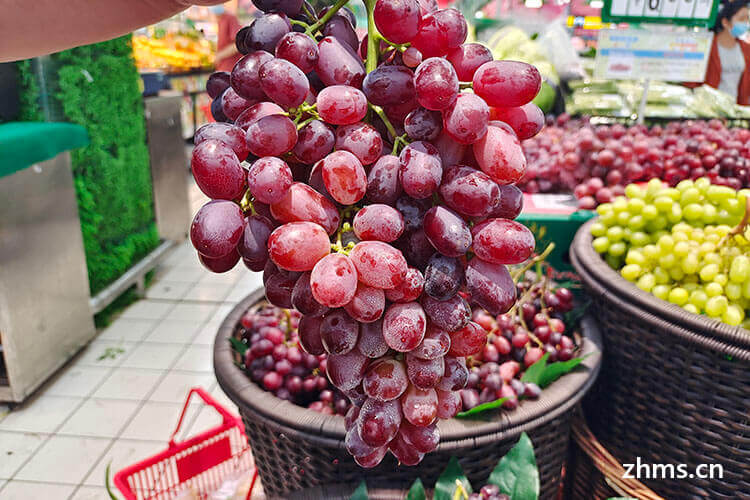 夏黑葡萄多少钱一斤现在市场价