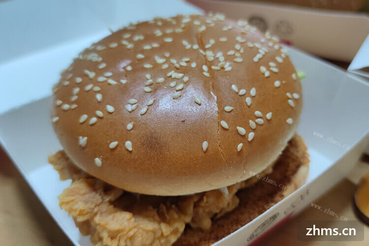 秦皇岛汉堡炸鸡快餐加盟，有哪些不错的选择？