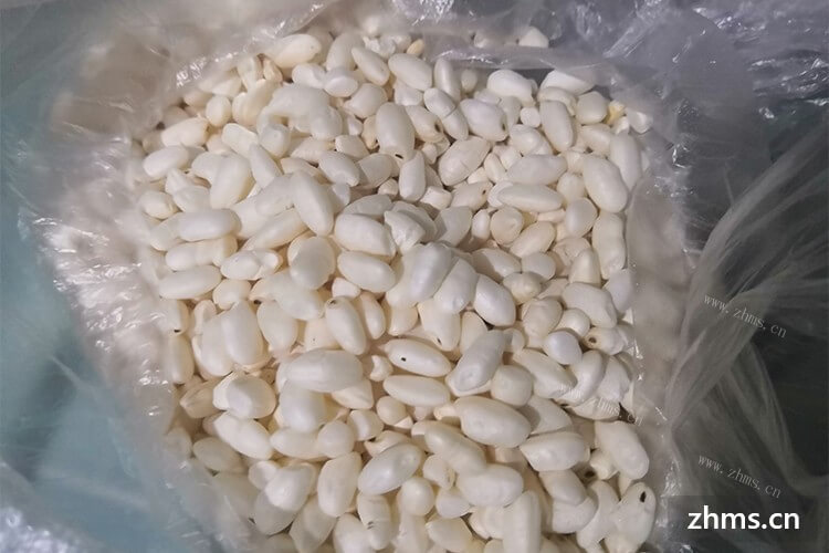 在青岛加盟小吃有市场吗？小规模店铺加盟大概要多少钱？