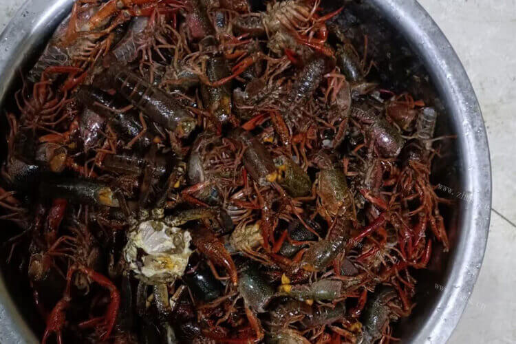 我想批发小龙虾，云南哪里有小龙虾养殖的地方？