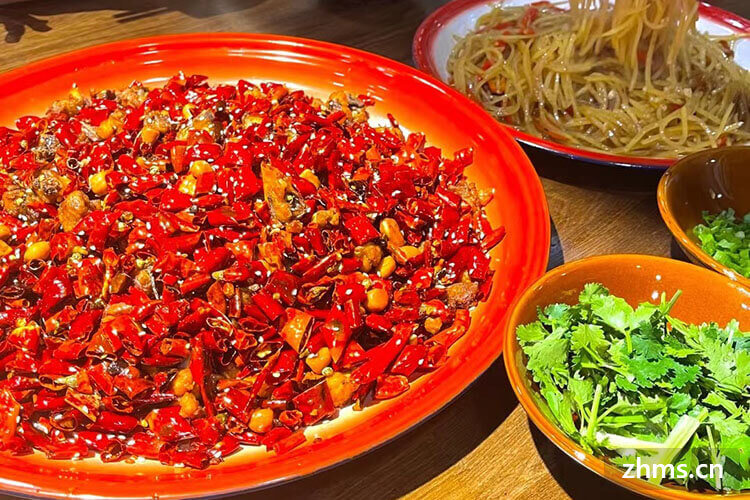 枣庄辣子鸡加盟连锁哪家好