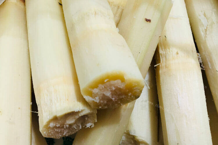 要保存甘蔗，甘蔗冬天室内保存方法吃什么呢？