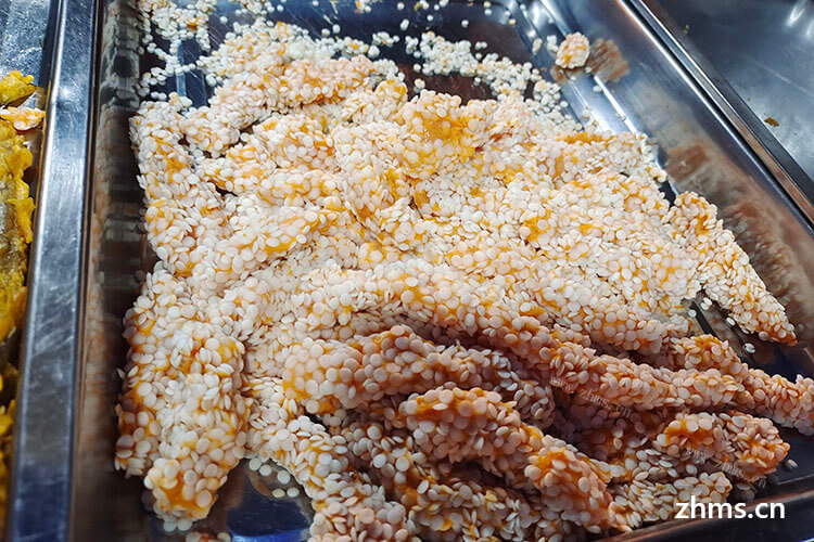 小吃赚钱吗，中式快餐加盟店的食材从哪里采购？