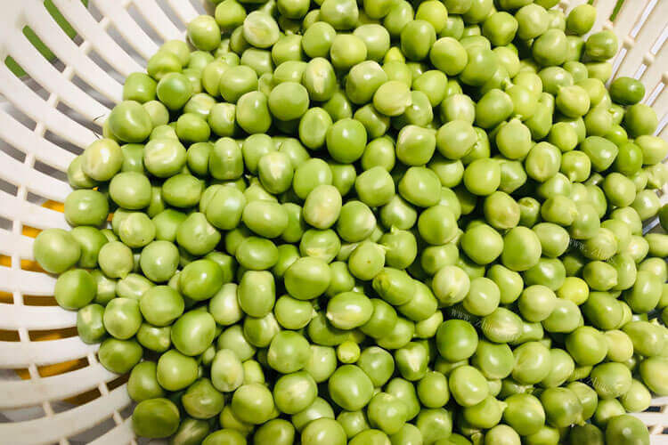 碗豆吃起来有点苦，干的绿色豌豆为什么是苦的呢？
