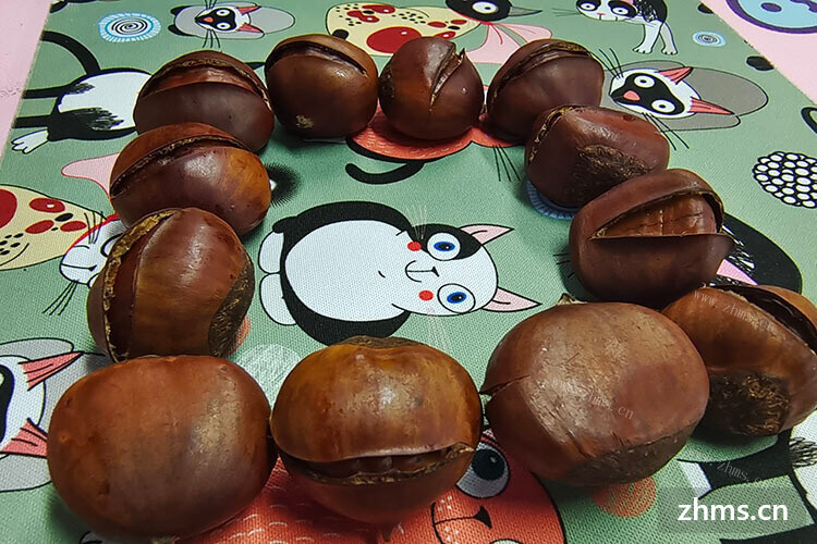 要是加盟小吃赚钱吗，什么品牌投资才好的？