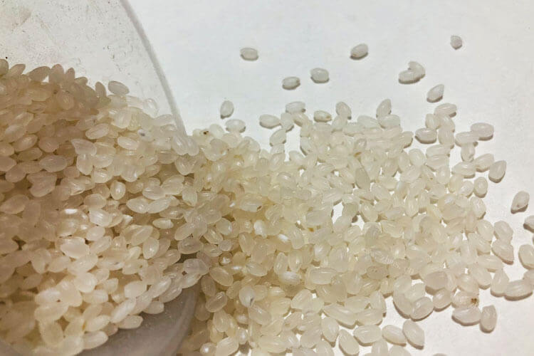 我很少喝粥，究竟小米粥与大米粥哪个更难煮呢？