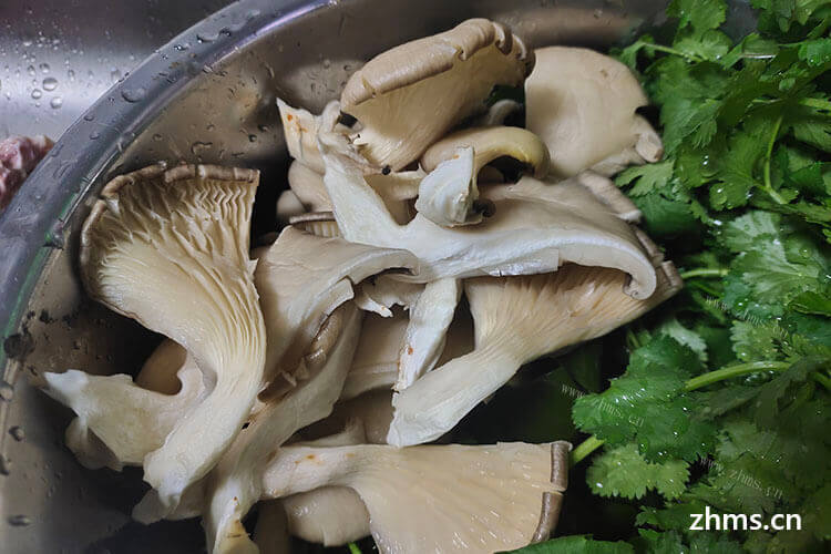 北京火锅食材超市店加盟排名能在网上查到吗