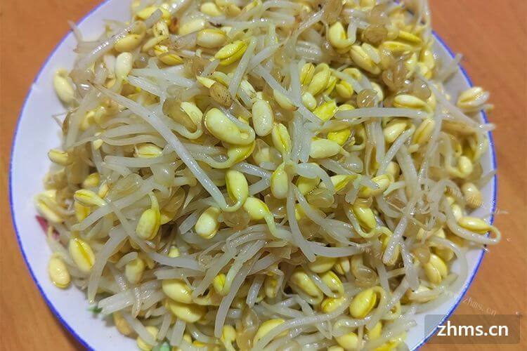 餐饮中餐加盟店排行榜，有哪些不错的？