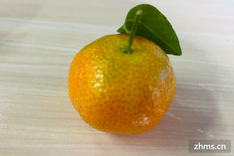 砂糖橘能储存一个月吗
