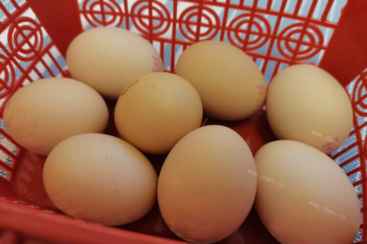 准备去市场买一些鸡蛋，红皮鸡蛋和白皮蛋有什么区别？