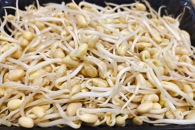 我想生一斤豆芽，一般一斤豆芽需要多少绿豆？
