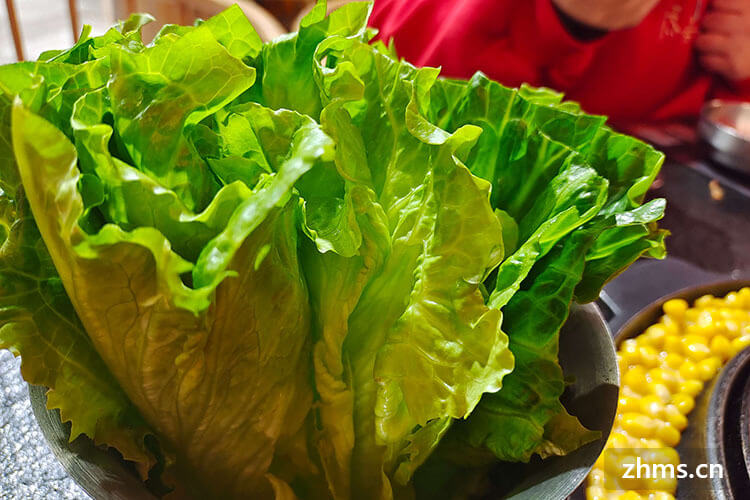 烤肉的生菜是什么生菜