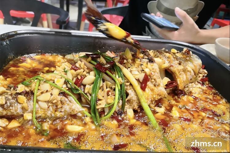 开个烤鱼店需要多少成本？手头上有20万