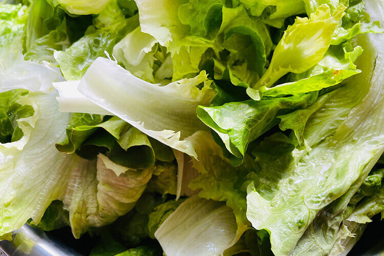 不知道买什么生菜，红叶生菜和绿叶生菜的区别是什么？