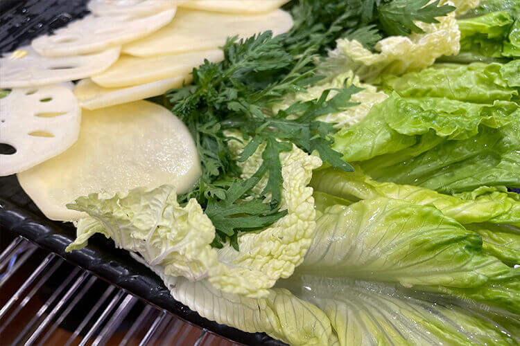 不知道买什么生菜，红叶生菜和绿叶生菜的区别是什么？