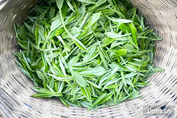 茶叶过期一年没开封还能喝吗 茶叶过期一年没开封还能喝吗