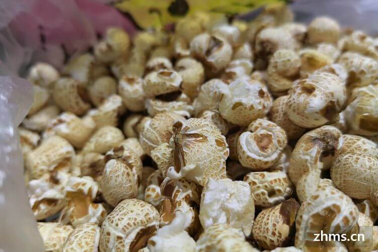 加盟小吃怎样挣钱？一般小吃方面的技术培训课程好吗？