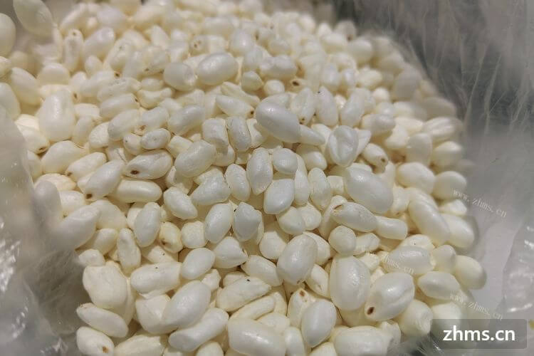 加盟小吃好不好，有哪些推荐的？