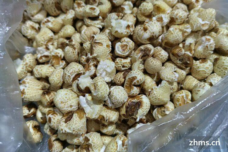 保定炸串加盟风险大吗？成本需要多少钱？