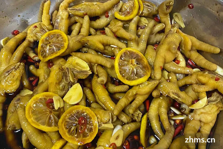 鞍山特色熟食加盟连锁品牌项目投资发展怎么样呢