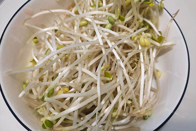 我想生一斤豆芽，一般一斤豆芽需要多少绿豆？