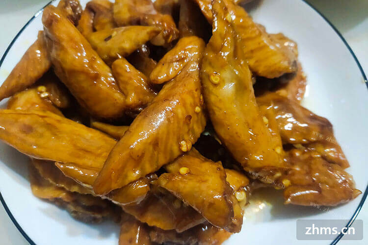 现在白山熟食加盟品牌招商的项目多吗？能投资吗？