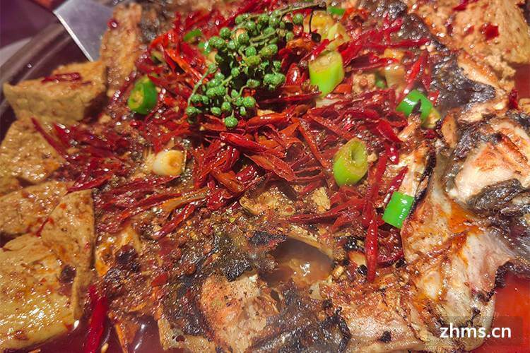 加盟烤鱼到哪里去考察？需要什么样的条件？
