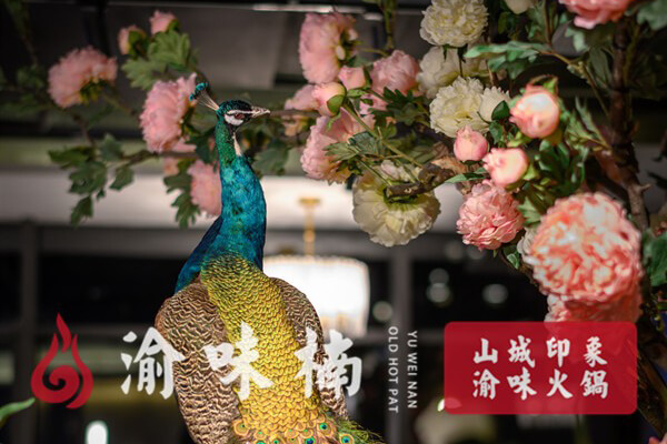 渝味楠老火锅相似图