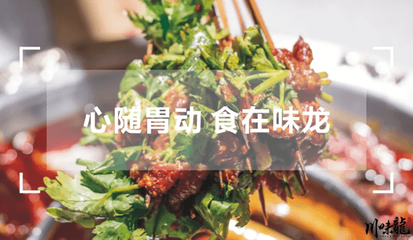 川味龙市井火锅相似图