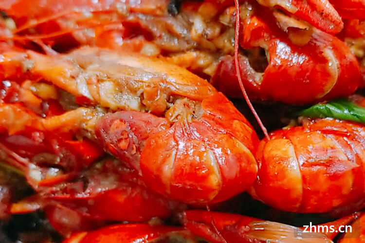 南京秋林龙虾加盟需要什么条件