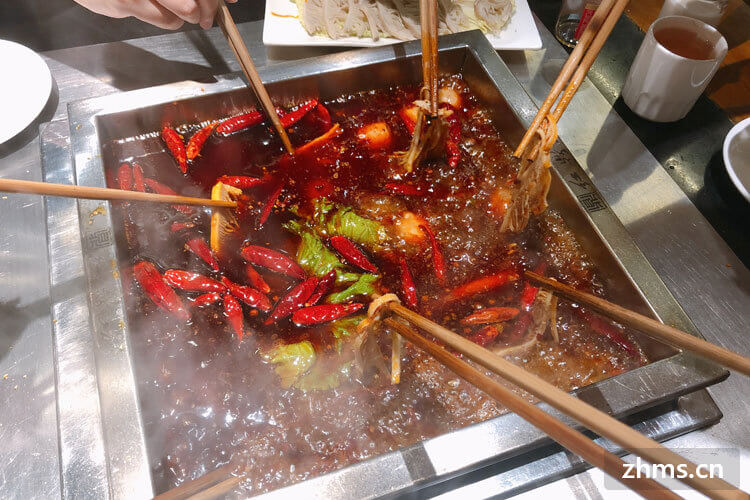 开火锅店成本利润多少钱