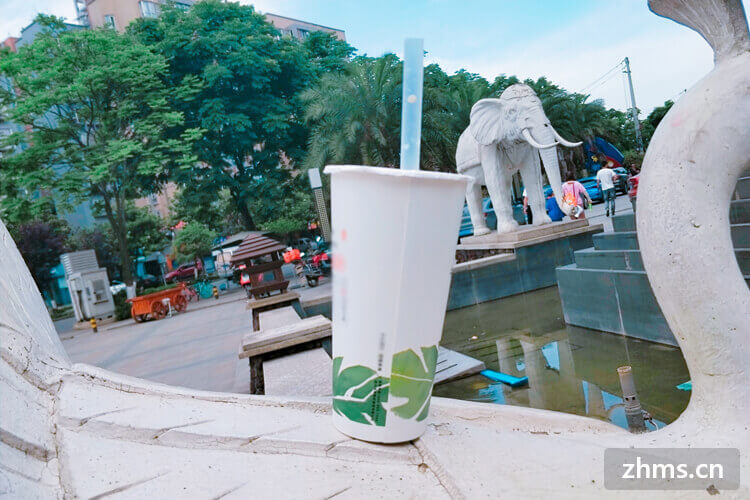 酷q奶茶加盟多少钱