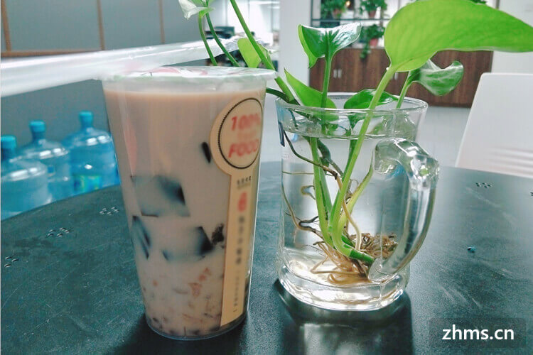 广东奶茶连锁加盟店