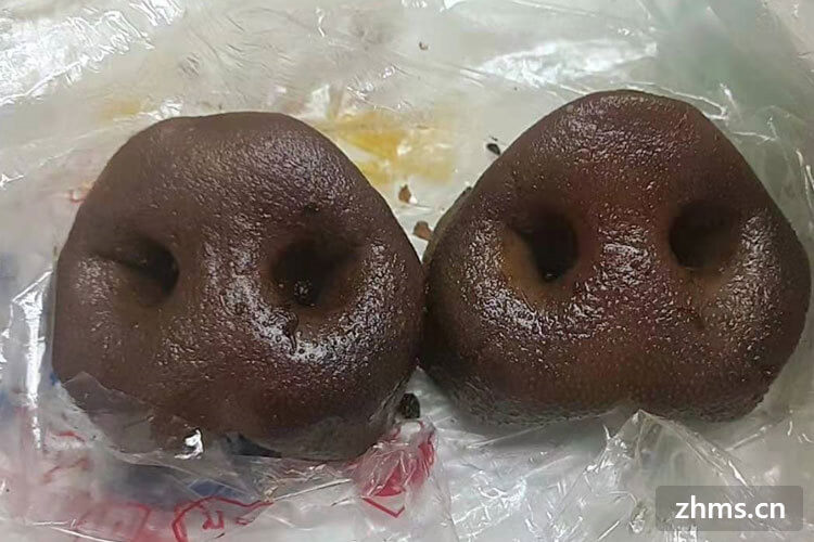 波尼亚用专业做出好熟食 波尼亚用专业做出好熟食