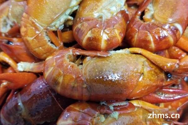 加盟什么龙虾店 加盟什么龙虾店