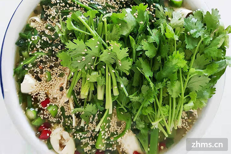 加盟特色钵钵鸡麻辣烫店多少钱？