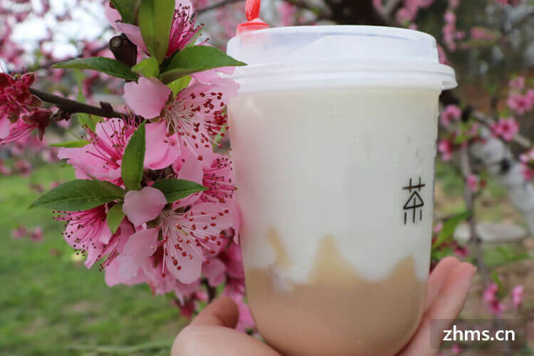 上海奶茶店加盟品牌有哪些