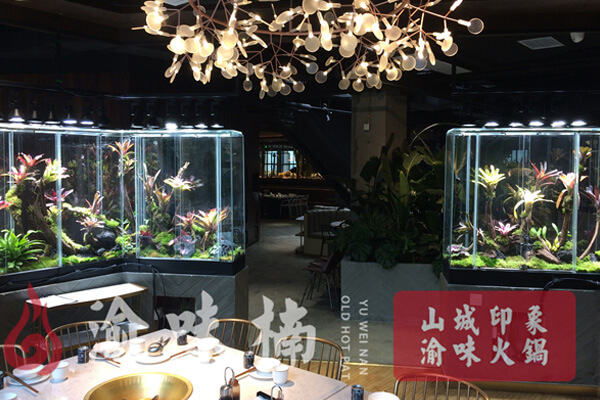 渝味楠老火锅相似图