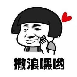 仟佰宠相似图 仟佰宠相似图